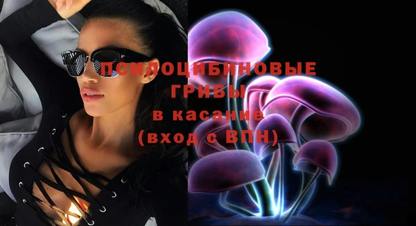 ешки Няндома