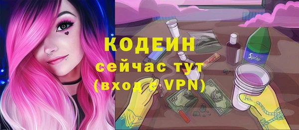 ешки Няндома
