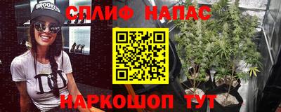 стафф Гусев